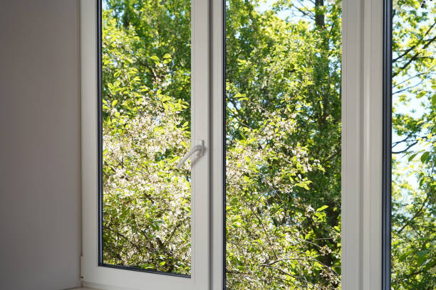istock View from the window on the garden green trees, park, forest. 2201516618