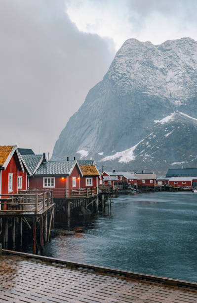 Charming typical red color Rorbuer cabins with grass-covered roofs stand on wooden stilts over the calm waters of Hamnoy, Lofoten, Norway, with dramatic snow-covered mountains rising in the background. The overcast sky adds a moody atmosphere to this picturesque Arctic fishing village, where the blend of rugged landscapes and Nordic architecture creates a timeless scene. A small boat is docked nearby, enhancing the coastal charm of this remote Scandinavian paradise