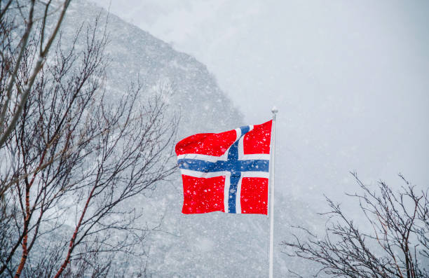 A Norwegian flag flutters in the wind during a heavy snowfall in Reine, Lofoten, Norway. The vibrant red, white, and blue of the flag contrast beautifully against the snowy backdrop of rugged mountain peaks and bare winter trees. This dramatic winter scene captures the spirit of Norway’s Arctic landscapes, showcasing the resilience of nature and national pride in harsh weather conditions