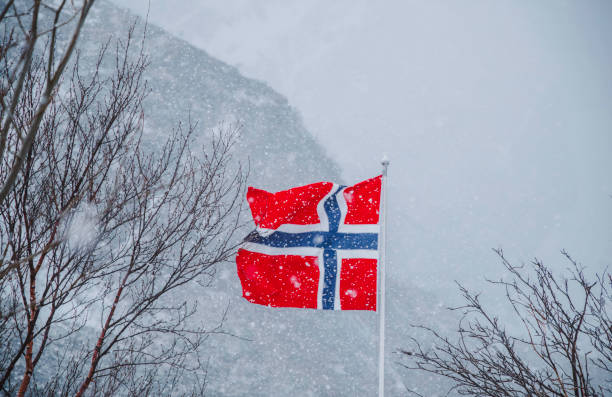 A Norwegian flag flutters in the wind during a heavy snowfall in Reine, Lofoten, Norway. The vibrant red, white, and blue of the flag contrast beautifully against the snowy backdrop of rugged mountain peaks and bare winter trees. This dramatic winter scene captures the spirit of Norway’s Arctic landscapes, showcasing the resilience of nature and national pride in harsh weather conditions