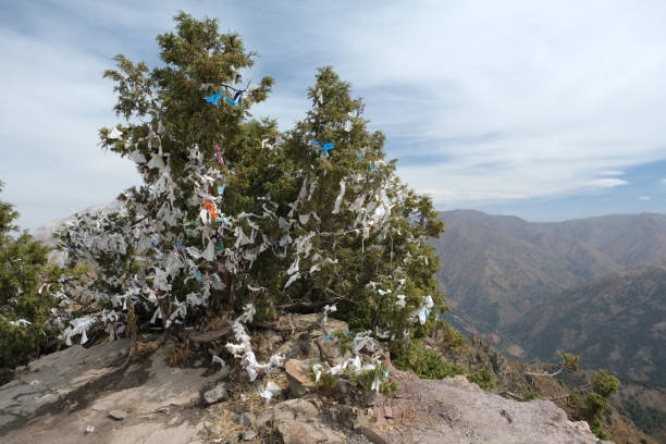 istock Prayer flags and offerings adorn a tree on a mountain ridge in a serene landscape 2201517950