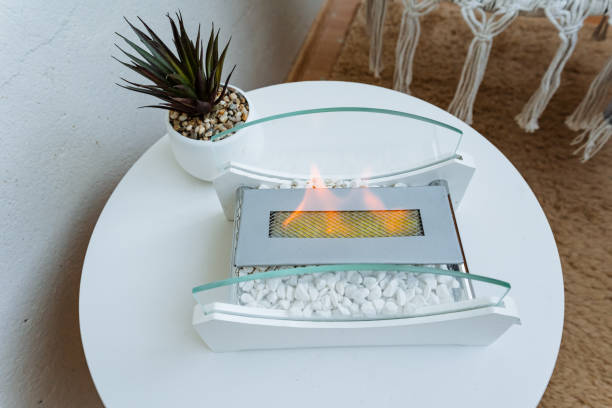 A stylish Modern Indoor Bioethanol Fireplace that includes Decorative Stones and a beautiful Succulent Plant for enhanced ambiance