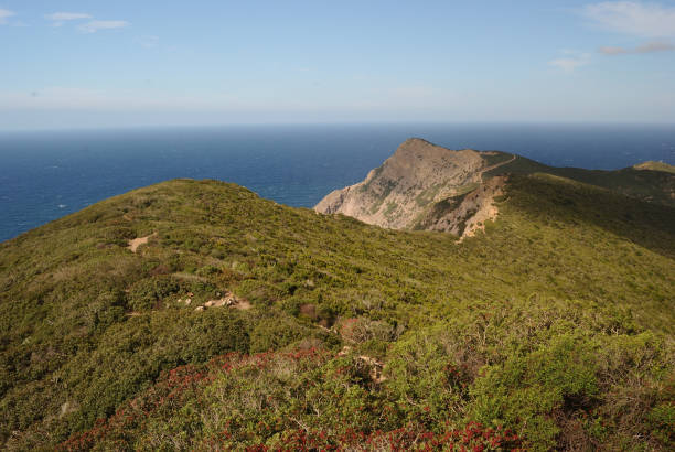 istock The coast of Punta Argentiera 2201521208
