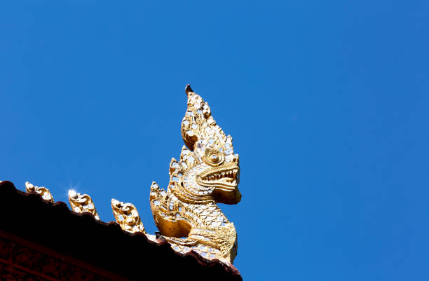 Shot in color detail on the facade of this historic building representing some character, animal or flower. Set at Siem Riep, Angkor Wat , Cambodia, Asia