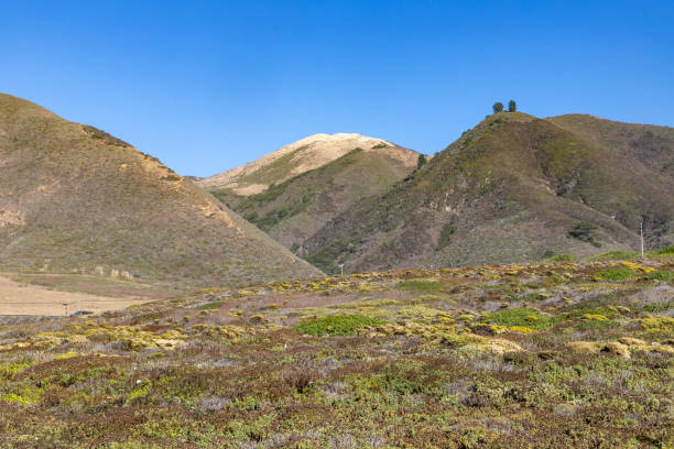 istock Coast trail with vegetation and mountains 2201524119