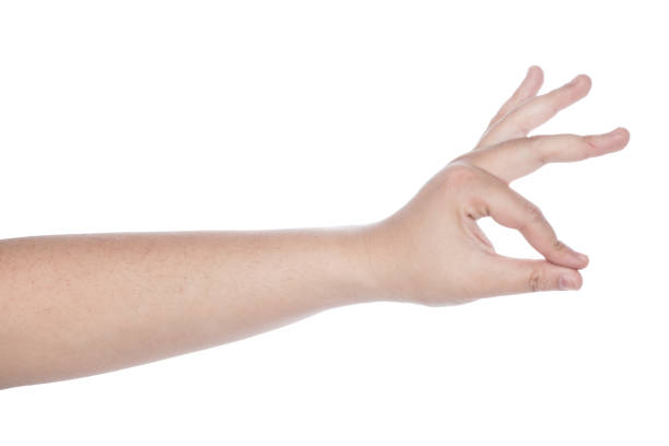 istock collection of woman hands on white background 2201526643