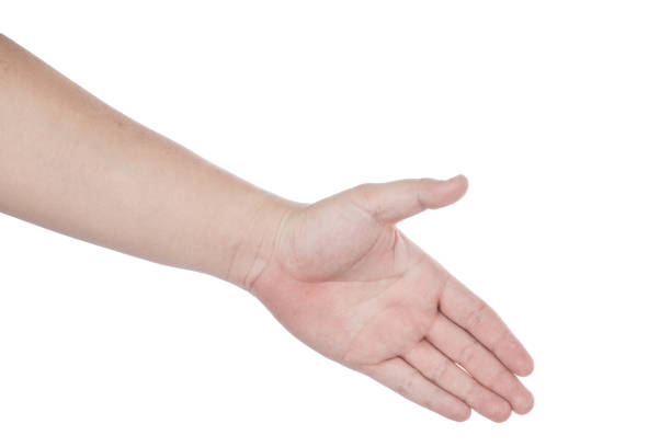 collection of woman hands on white background