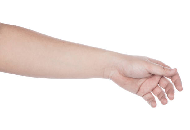 collection of woman hands on white background