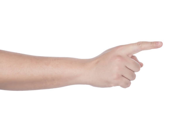 istock collection of woman hands on white background 2201526842