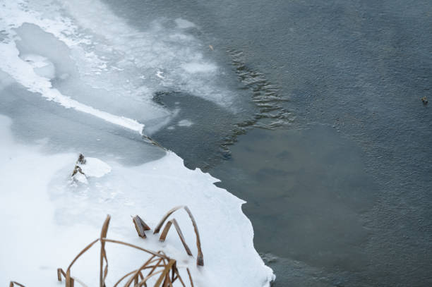 A close-up view of a frozen pond partially covered in snow, with dry reeds emerging from the icy surface. The delicate frost patterns and the contrast between the ice and vegetation highlight the serene beauty of winter nature.