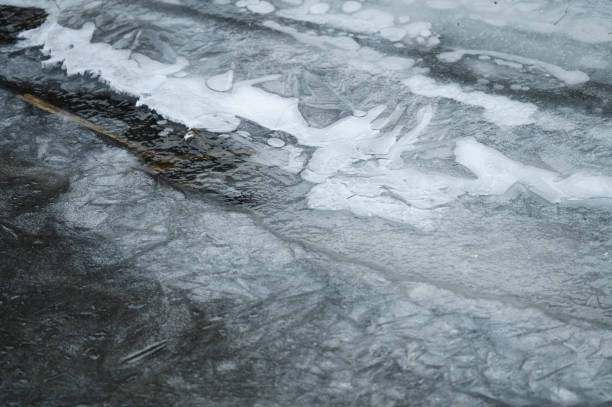 istock Frozen pond with dry reeds covered in snow 2201530056