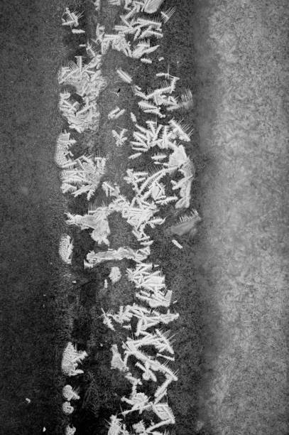 ice cubes in black and white