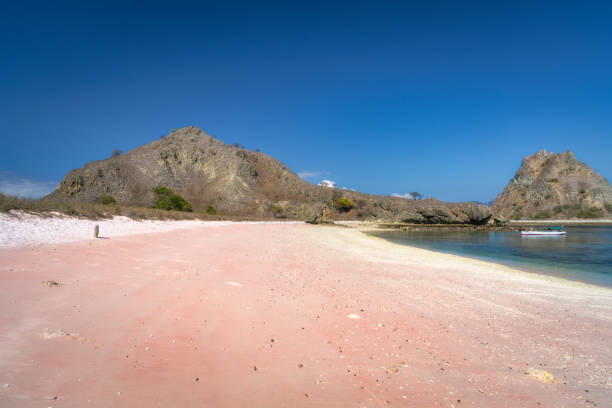 istock A serene and picturesque pink beach features a stunning rocky background under a clear and bright blue sky 2201536625