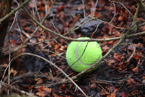 Tennis ball on court.