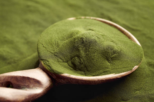 istock Green chlorella algae powder on a wooden spoon - nutritional supplement 2201549273