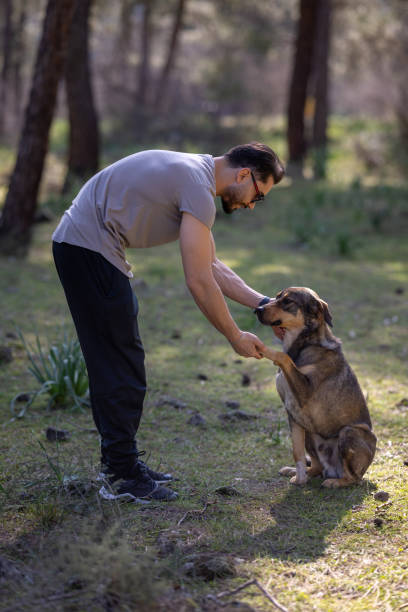 istock Man training his dog in a forest, holding its paw 2201551533