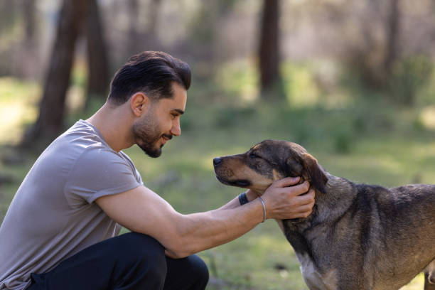 istock Young man enjoys a quiet moment with his dog in a serene forest environment, creating a heartwarming scene of companionship 2201551899