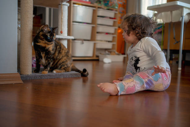 A curly-haired toddler sits on the wooden floor, gazing curiously at a tortoiseshell cat perched on a scratching post. The cozy home setting includes storage shelves and a high chair in the background, capturing a moment of child-animal interaction. A perfect image for themes related to childhood, pet companionship, curiosity, and home life.