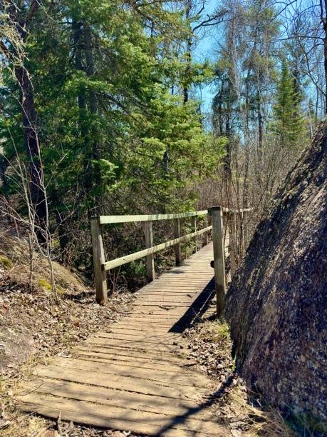 istock classic bridge over a ravine in the forest 2201563826