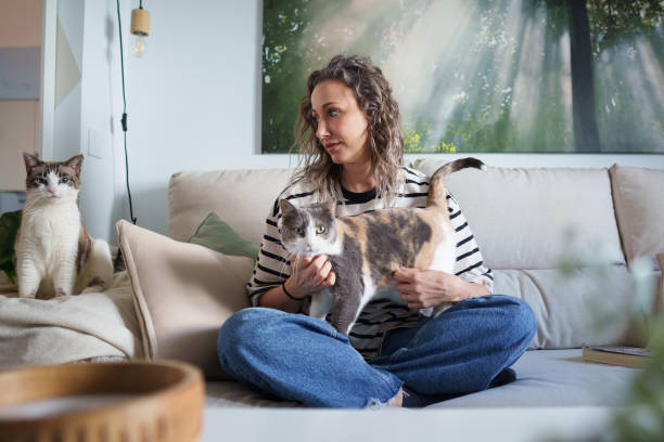 istock Woman sitting on sofa holding calico cat with another cat looking on 2201570486