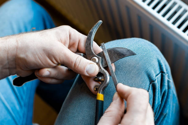 istock A man sharpens the blade of a garden pruner with a file. Garden tools 2201571941