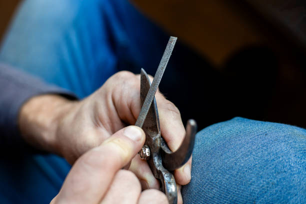 istock A man sharpens the blade of a garden pruner with a file. Garden tools 2201571954
