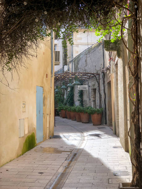 istock Rural village streets 2201576368