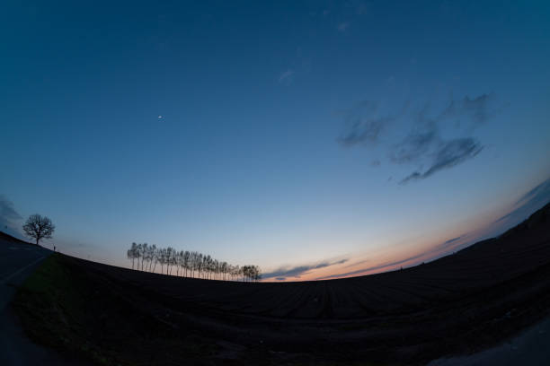 Beautiful spring dusk sky and silhouette of birch trees
