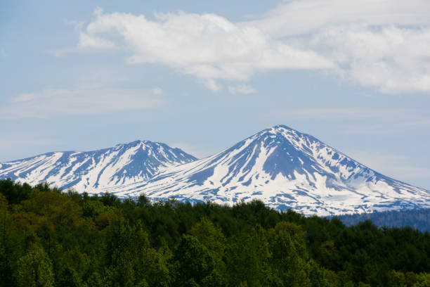Fresh green forest and the summit of the remaining snow