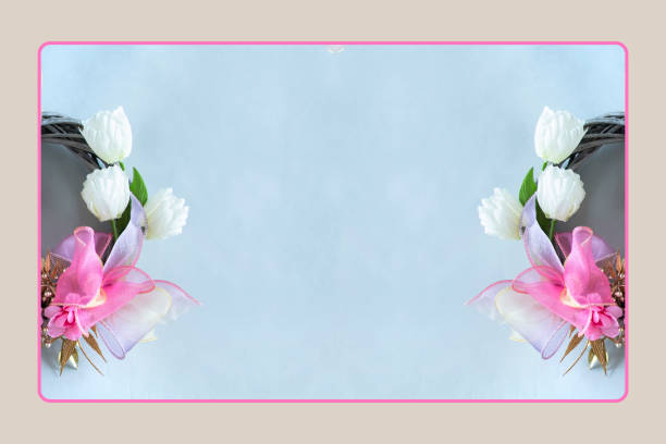 frame of white tulips wreath with gray background.
