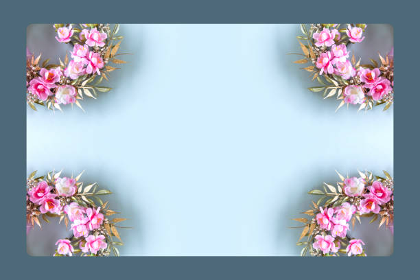 frame of peach blossoms wreath with gray background.