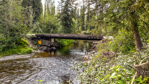 istock Creeks of Interior Alaska 2201609801