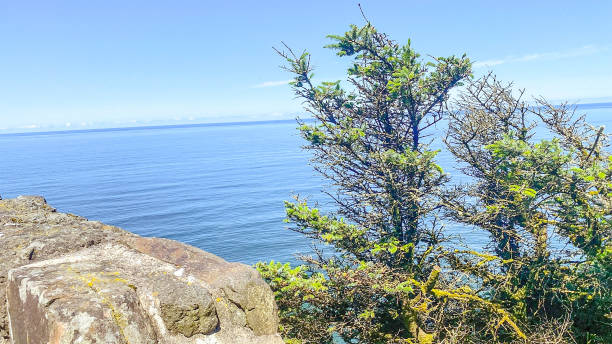 istock The Beauty of the Oregon Coast 2201609816