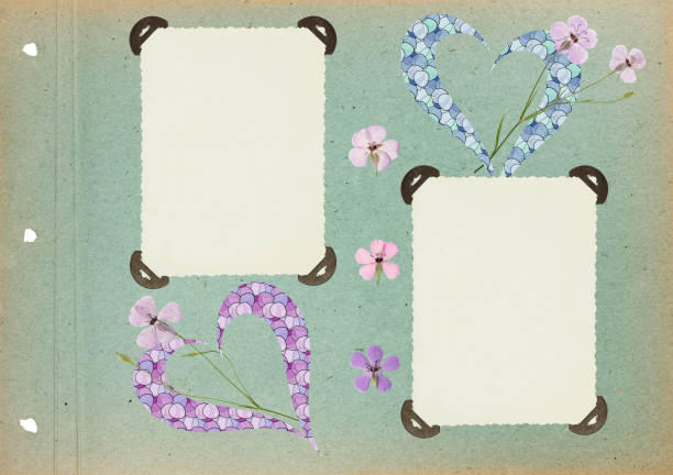 Scrapbook composition with flowers elements and photo frame. Page for stories. Layout photo album with empty photo frames. Page from an old photo album. Flowers viscaria.