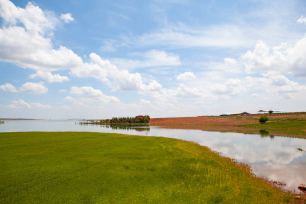 istock Serene lake surface with lush green grass tranquil natural landscape 2201618305