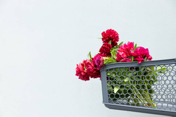 Flowers in a shopping cart, outdoors, summer.