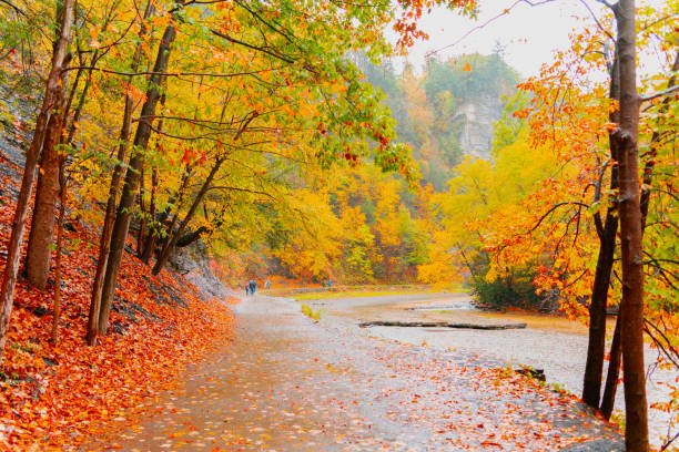 Beautiful Autumn in Taughannock Falls State Park