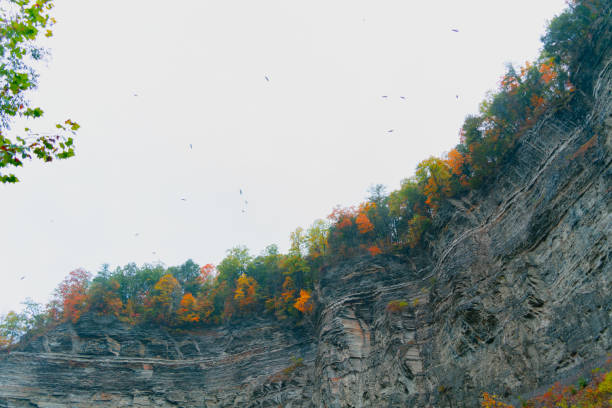 Beautiful Autumn in Taughannock Falls State Park