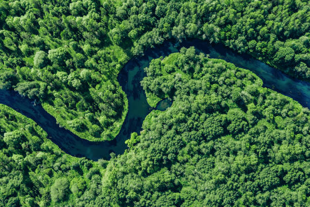 Aerial drone view of blue curved river and green summer woods