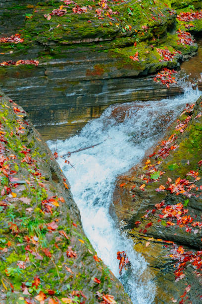 Beautiful Autumn in Watkins Glen State Park
