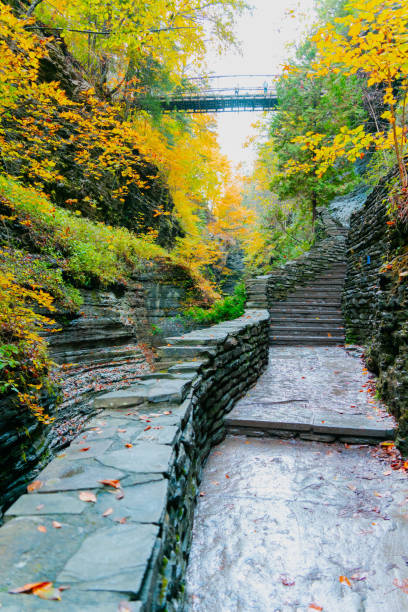 Beautiful Autumn in Watkins Glen State Park