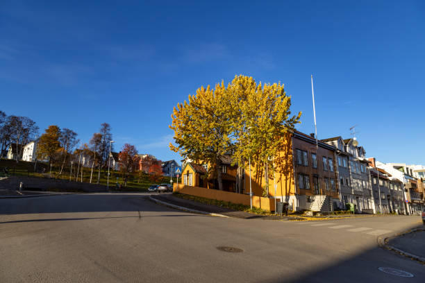 Street of Tromso lovely sunny Autumn day Scandinavian architecture Northern Norway Europe