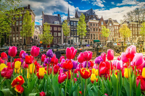 istock Houses of Amstardam, Netherlands 2201641679