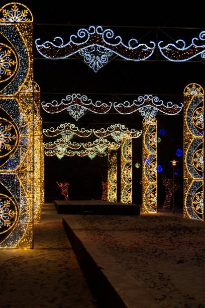 istock Festive outdoor decorative lights display at night. 2201642464