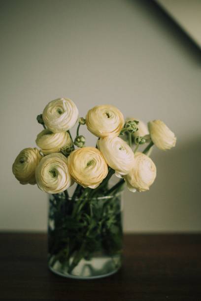 istock Vase of Pale Yellow Ranunculus Flowers 2201642645