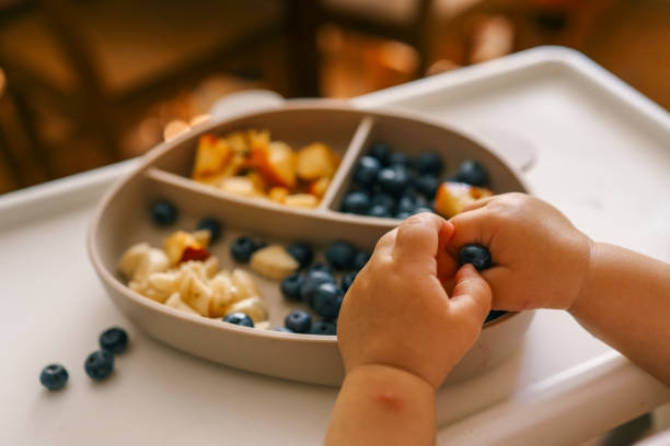 istock Toddler self-feeding with sliced peaches, bananas, and blueberries from a divided plate on a highchair. Perfect for baby-led weaning, healthy snacking, and developing fine motor skills 2201643067