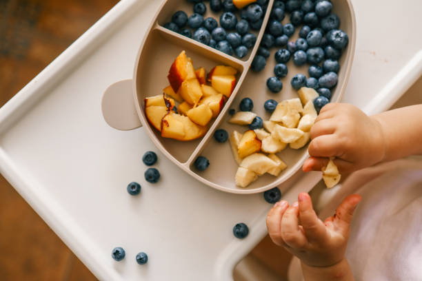istock Toddler self-feeding with sliced peaches, bananas, and blueberries from a divided plate on a highchair. Perfect for baby-led weaning, healthy snacking, and developing fine motor skills 2201643071