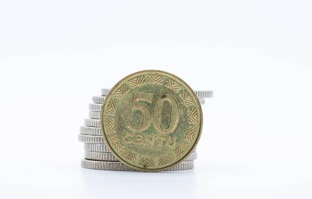 istock Lithuanian 50 Cent coin close-up 2201645089