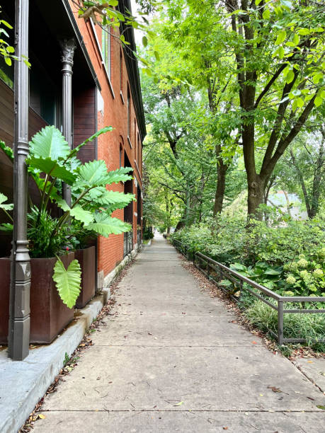 istock Chicago sidewalk at the end of summer 2201645268