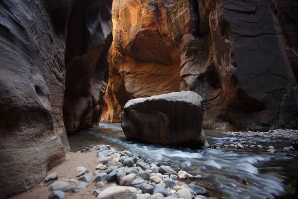 istock Narrow Canyon in Zion National Park 2201645825